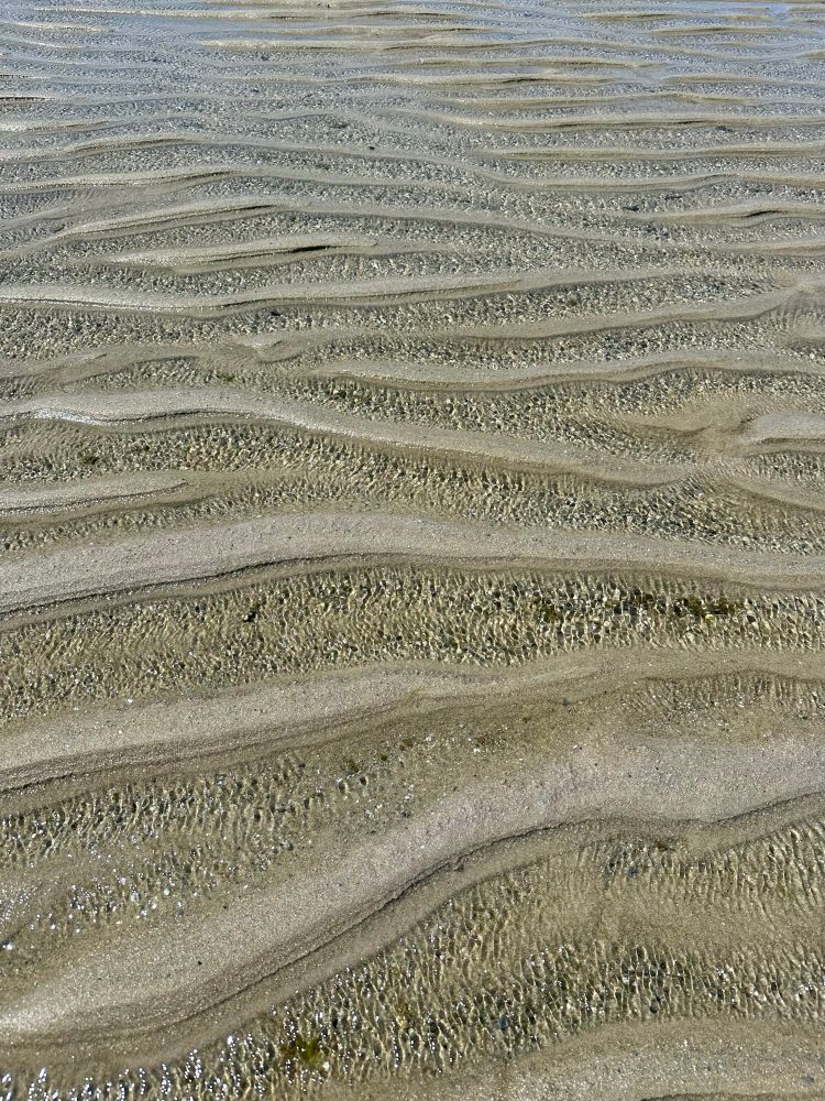 Ridges of sand and water form a pattern during low tide at the beach on Cape Cod