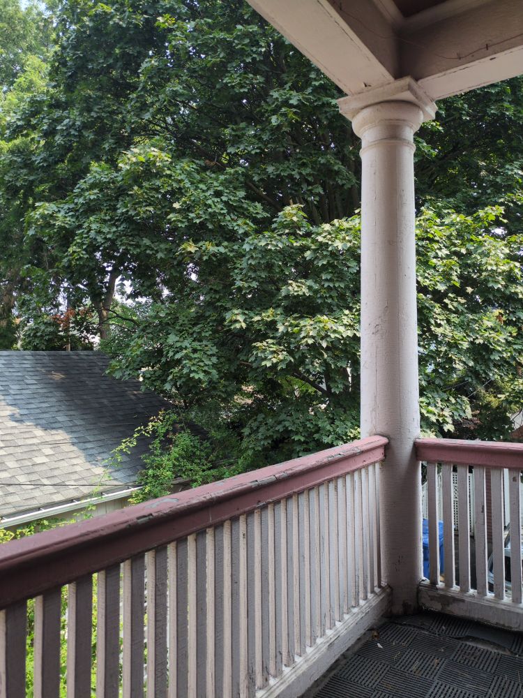 The view from a second-floor balcony. There is an old, painted wood railing and corner column in the foreground, and a deciduous tree and a roof in the background.