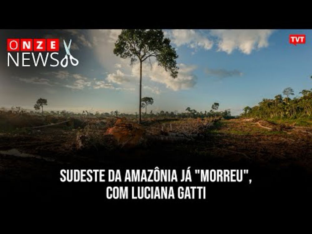 Sudeste da Amazônia já "morreu", com Luciana Gatti