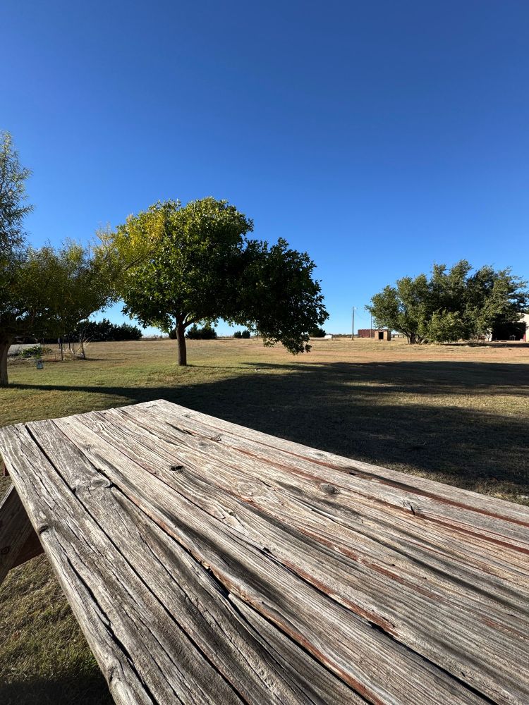Weathered wooden table with trees and blue sky in background 