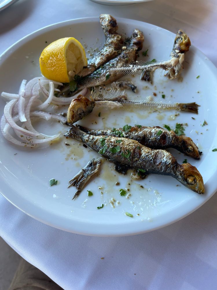 A plate of grilled sardines, with half of them reduced to a head and a tail connected by bones, like Heathcliff was here. Raw onions and a lemon on the side.