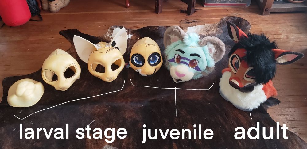 6 fursuits in various stages of progress lined up left to right in this order: larval stage, juvenile, adult 