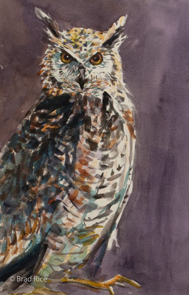 Watercolor painting of an owl.