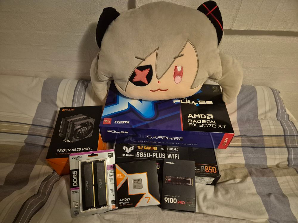 Photo of El Fail Cushion next to boxes for PC parts, Ryzen 7 9800X3D, RX 9070XT Pulse, Crucial 32GB DDR5, Samsung 9100 PRO 2TB PCIe 5.0 M.2 SSD, ASUS TUF B850-PLUS WIFI Motherboard, ID-Cooling tower cooler