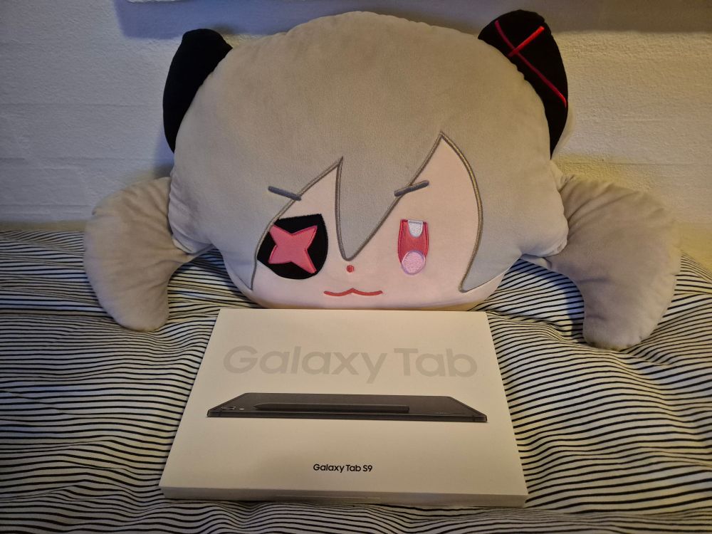 El Fail Cushion next to a box for a Samsung Galaxy Tab S9