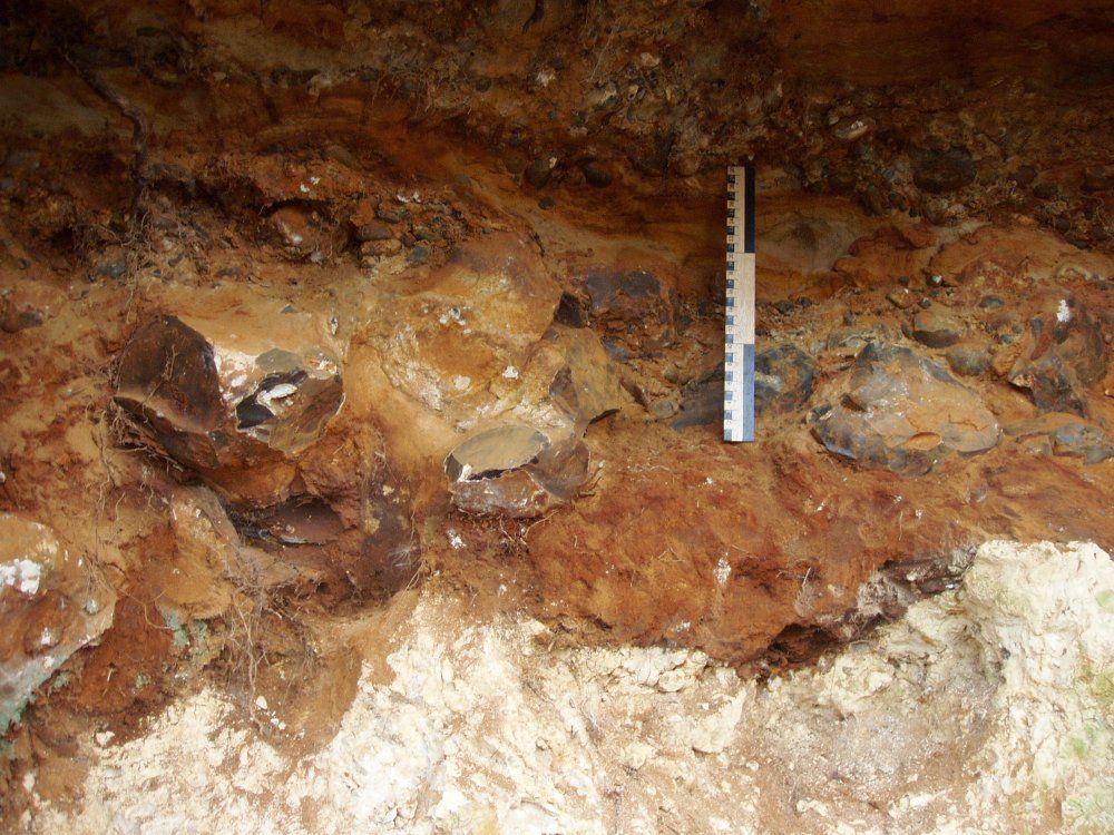 The Norwich Crag basement bed overlying an undulating surface of Upper Chalk, exposed in St James's Pit, Norwich, 2011. Brown clayey material containing large flints contrasts with the white chalk.