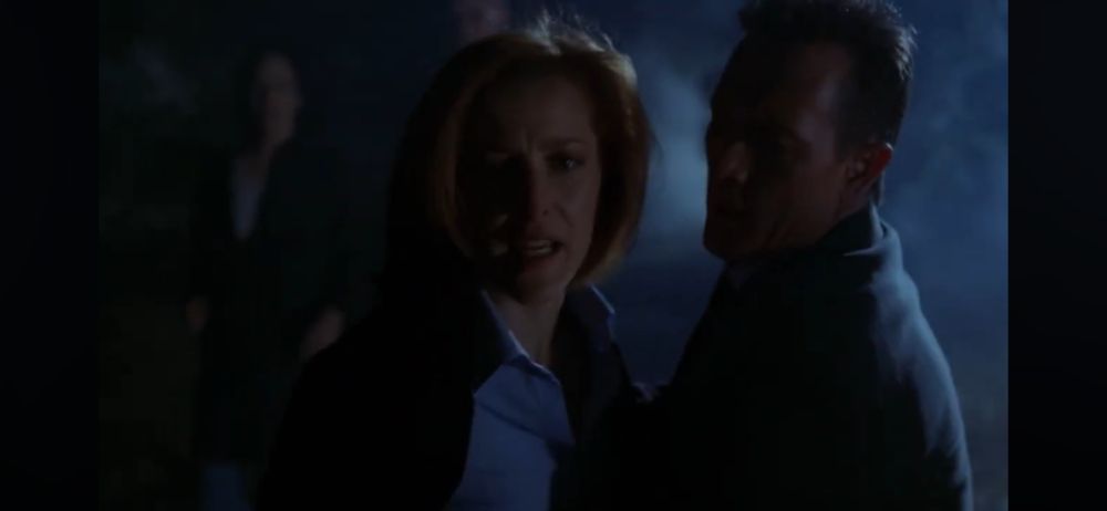 In 8th season X-Files episode This Is Not Happening: night, misty weather, Dana Scully looks at something (Fox Mulder’s lifeless body, off screen) in fear and desperation, being held back by John Doggett. Walter Skinner visible out of focus in background.