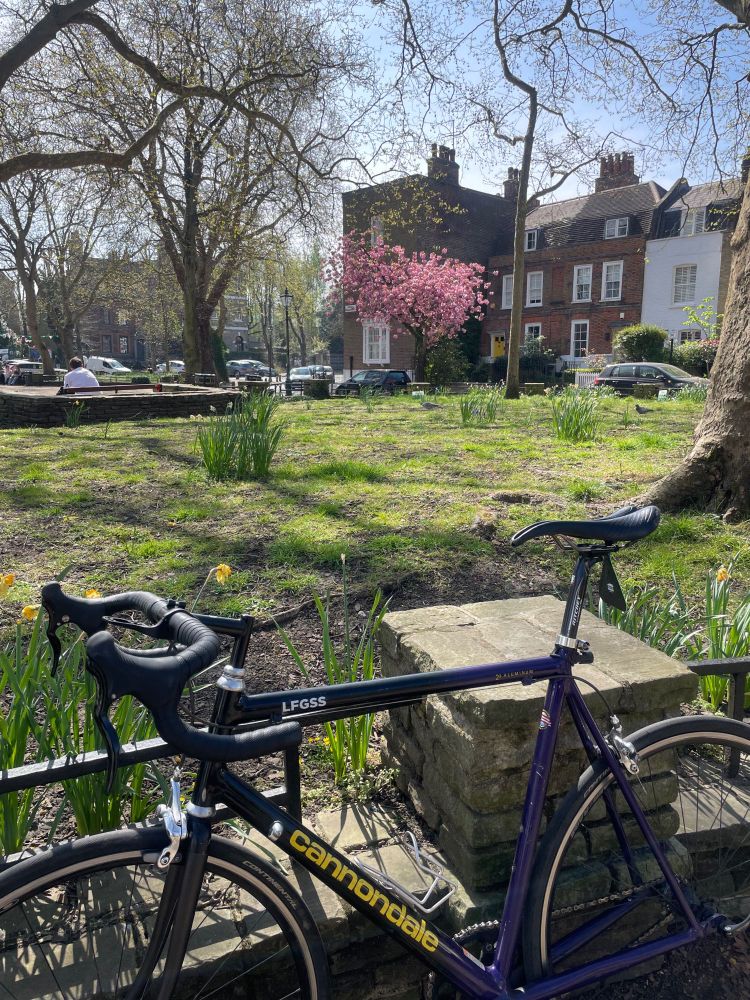 a bicycle parked in a town square, trees and flowers in bloom.