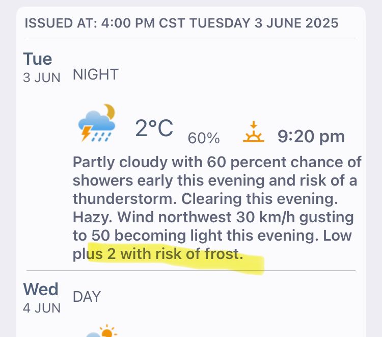 Forecast for Saskatoon shows a low of 2 tonight with risk of frost 