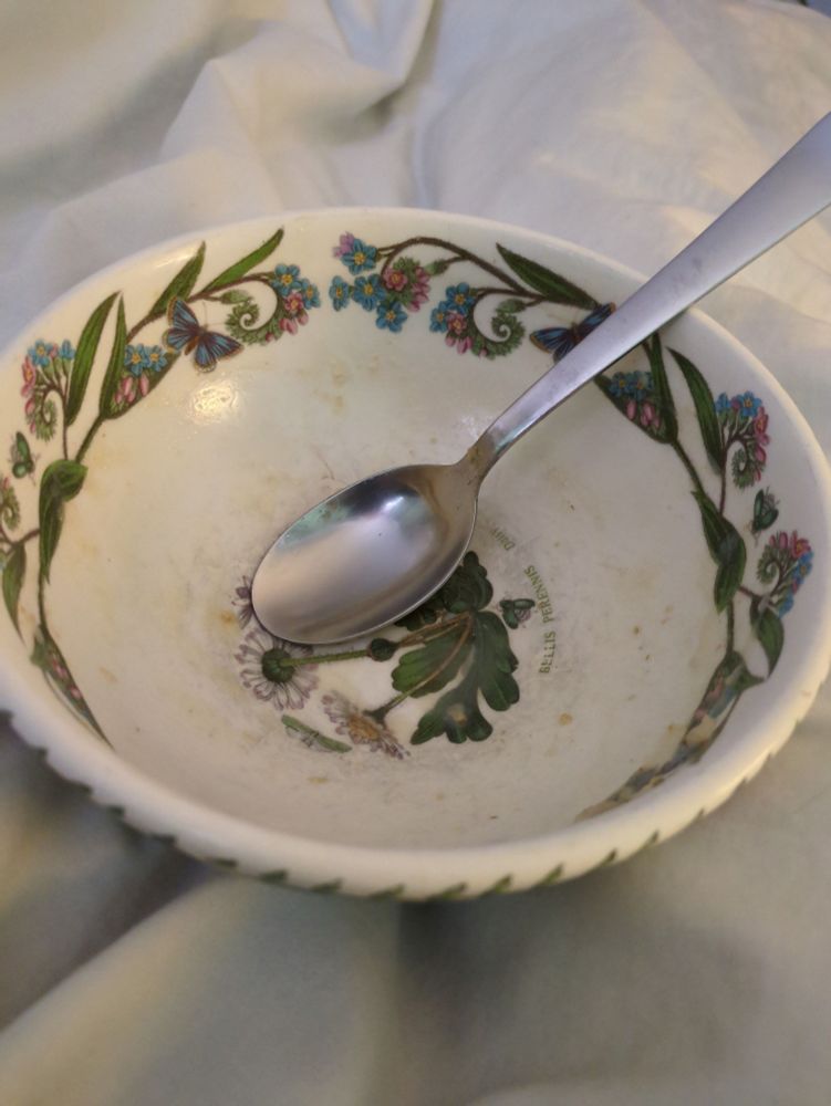 Empty porridge bowl