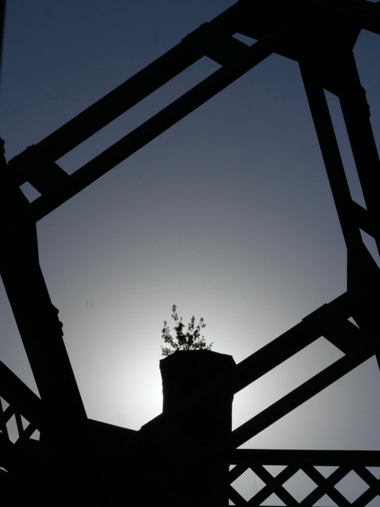 a backlit smokestack with a tree growing from its top, framed by iron bridge girders.