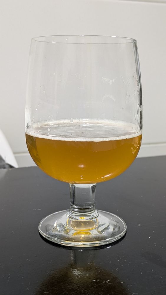The picture shows an almost empty glass with an IPA beer