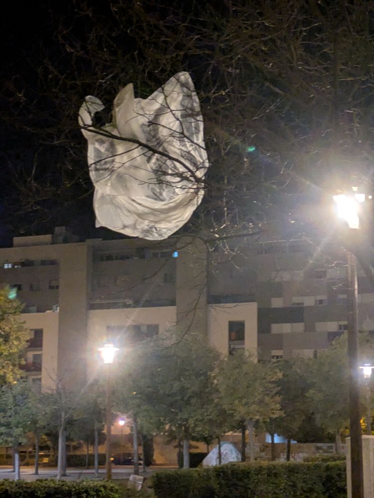 Imagen en color, la figura translúcida es un plástico enganchado en las ramas de un árbol deshojado. 