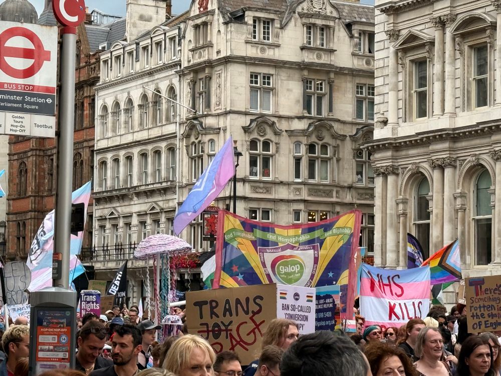 Trans Pride protest. Placards and banners read slogans such as 'NHS kills trans kids' and 'Trans Rage'. Many flags in the background.