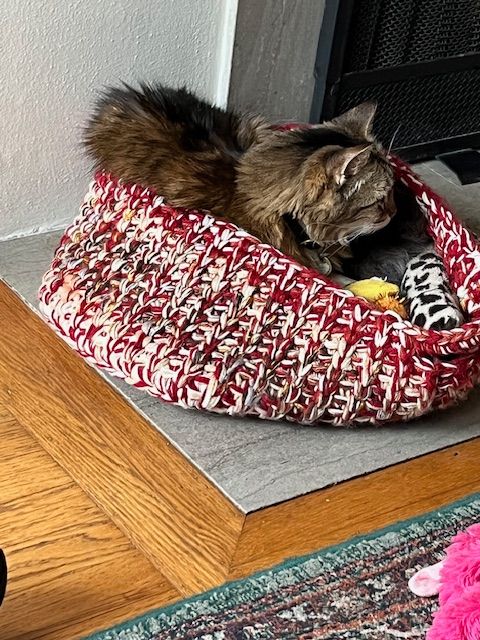 A brown and white tabby cat manages to fit inside a crocheted basket meant for cat toys. Not only does this mean that all the toys now belong to L-cat, but in fact L-cat is the best toy.