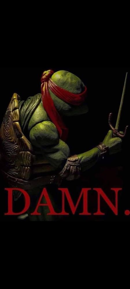 Raphael in disbelief of the MTG crossover