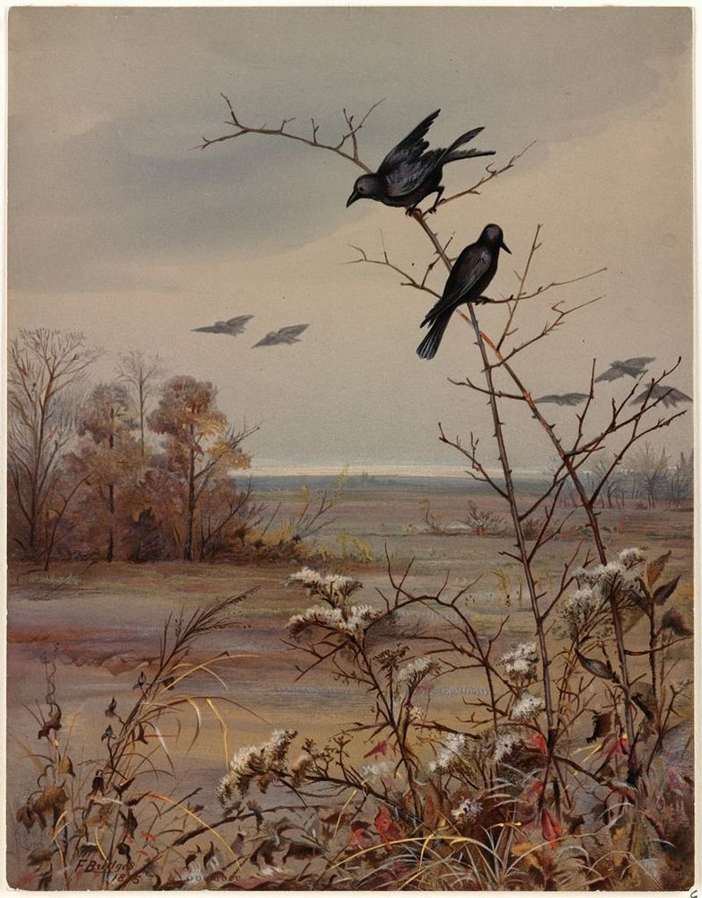 Art by Fidelia Bridges. Title: November. Painting of two blackbirds in a November, autumn landscape.