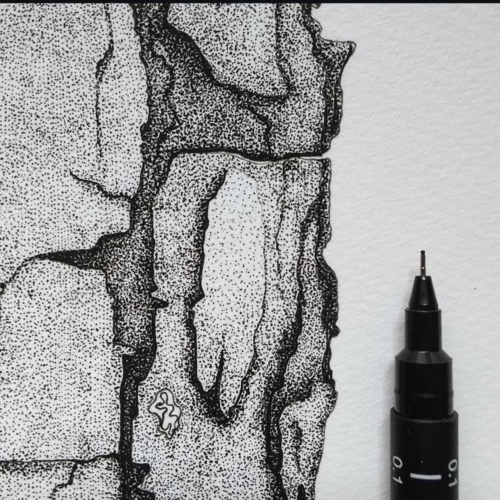 Close up picture of a part of the stippled tree bark illustration including the fine liner pen used in the process. 