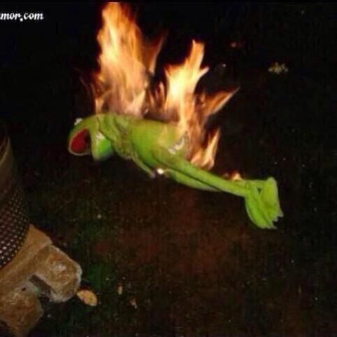 Meme of Kermit the frog laying on the ground and on fire. 