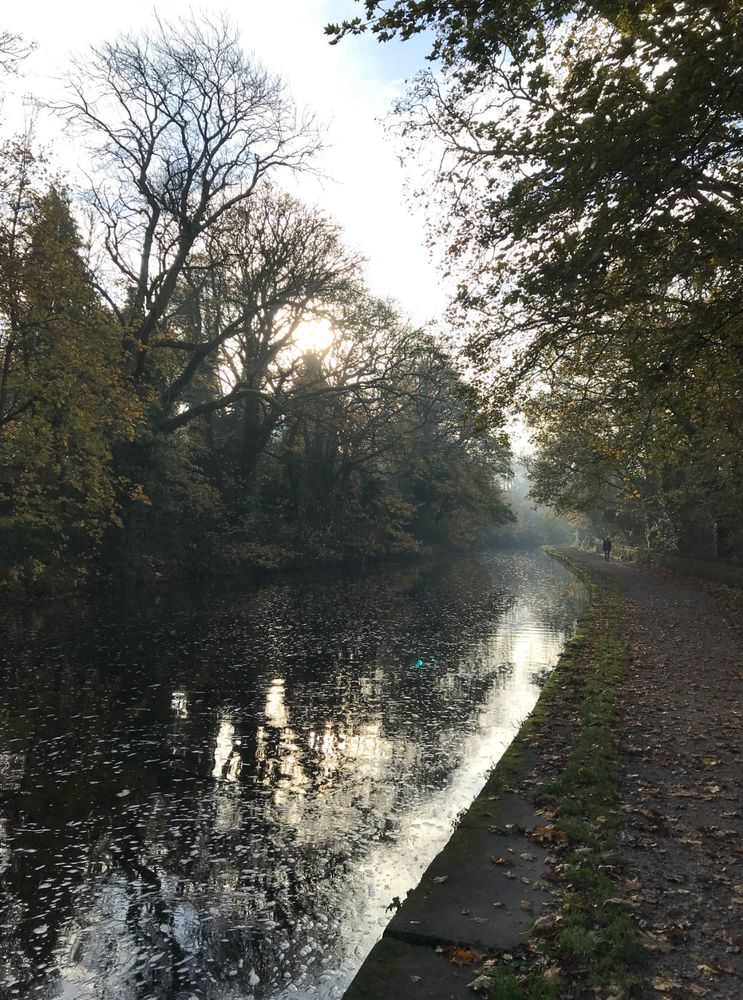 A canal towpath. Autumnal trees either side of the path and canal, leaves on the ground and floating on the surface of the canal. The trees reflected in the water. 