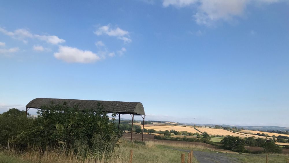A farmland storage facility with open sides and a rounded concrete roof in the foreground, yellow fields of crops bordered by neat hedgerows and trees in the distance. A clear blue sky. 