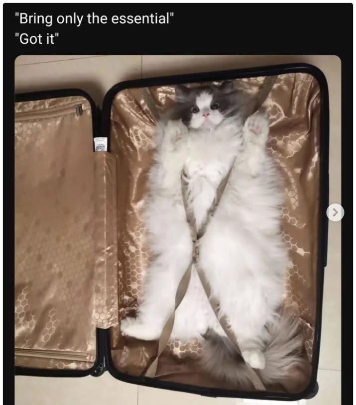 Fuzzy kitty check 