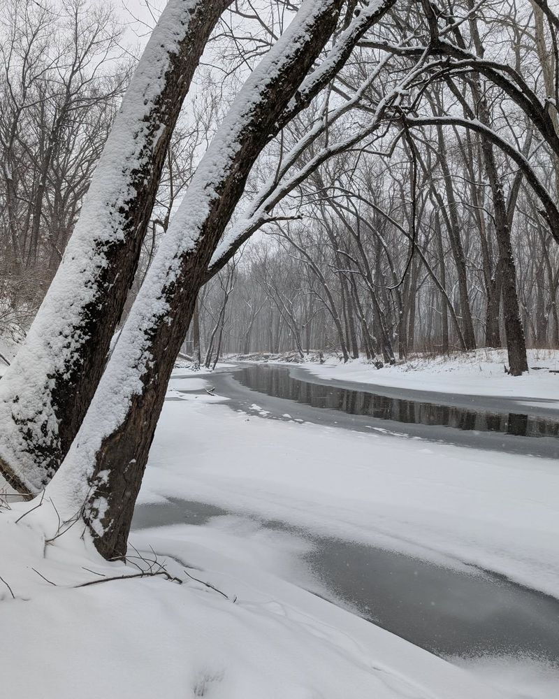 A partially frozen river flowing through a forest, blanketed in snow.