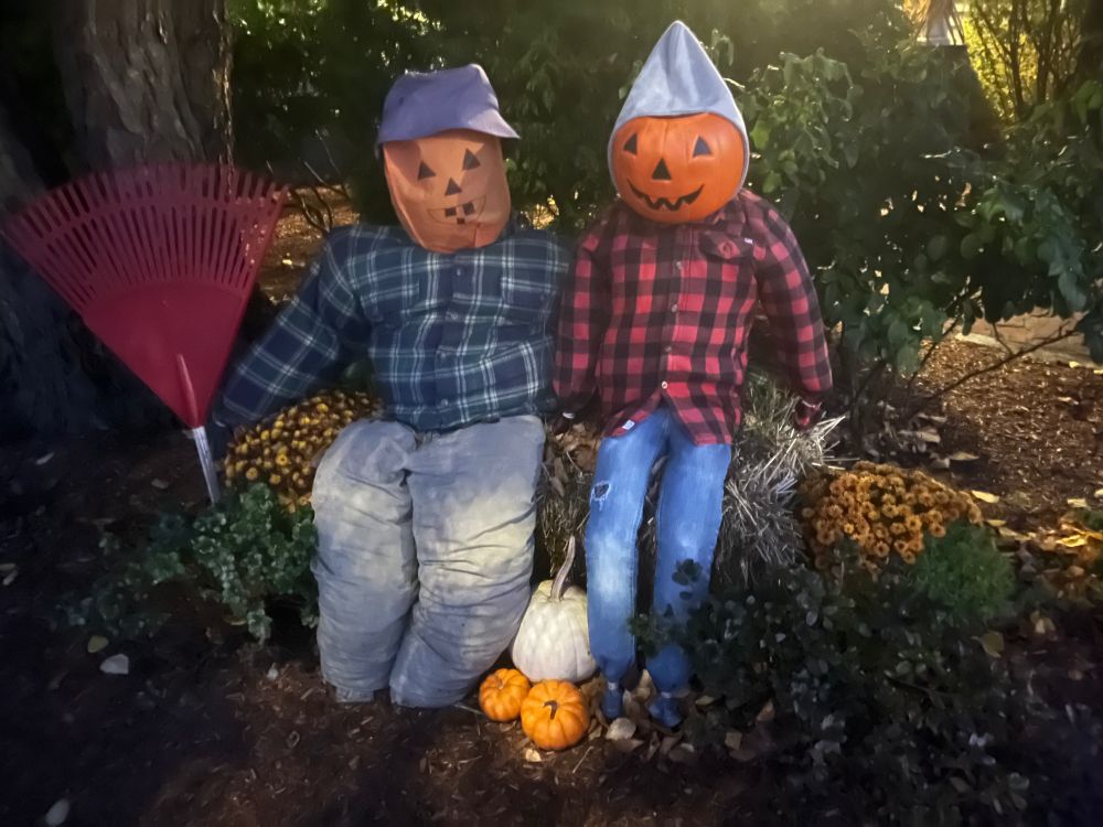 Two scarecrows with pumpkin heads, one holding a lawn rake