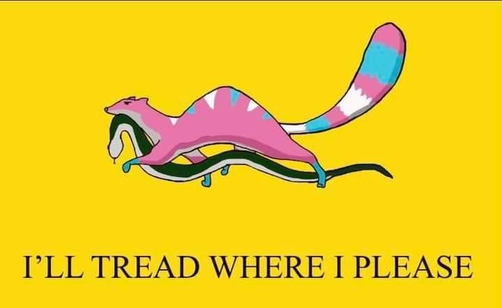 mongoose in trans colors with Dont Tread On Me snake in its mouth and flag says I'll Tread Where I Please 