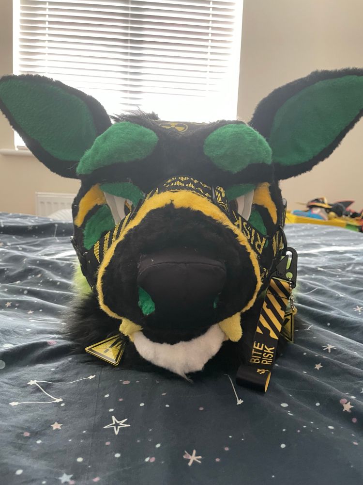 Toxic’s fursuit head with the horns and hair detached, allowing a better look at the markings. The horns are magnetic and the hair attaches with Velcro. The parts on the top where they attach have a patterned lining