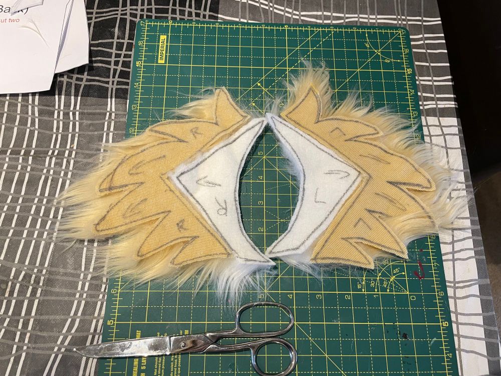 Cut out fur for the cheek fluff. The tuffs are in blonde and the cheek centres are white. The photo shows the back of the fur, with labelled fur directions and sides 