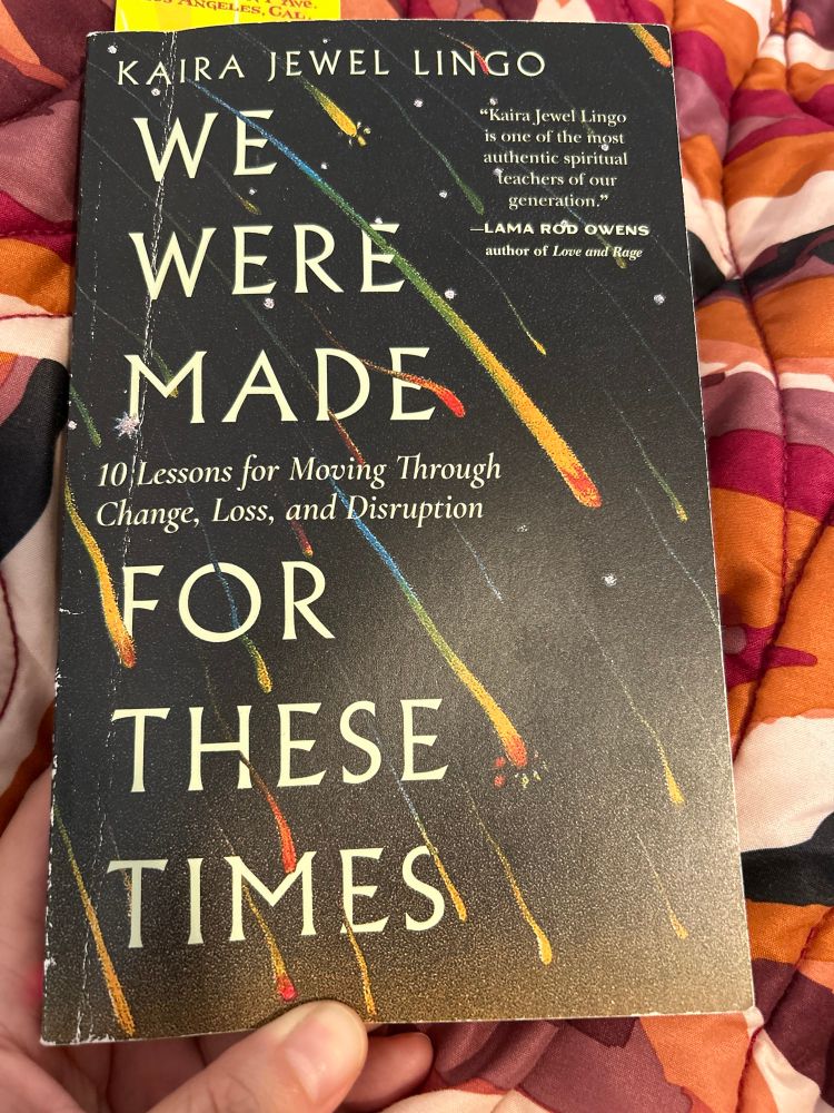 A photo of the book We Were Made For These Times. The cover is black with white title text and has rainbow comets or asteroids across the cover.