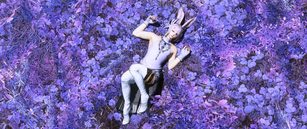 fuji (they/them) lays amongst the violet flora of lakeland.