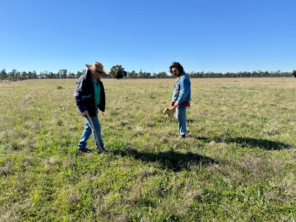 Farmer Bruce Maynard talks Kosta through the practice of No-Kill Cropping in a paddock of grasses, shrubs and oats.