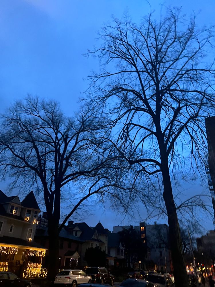 Photo of a loca neighborhood early in the morning, electric blue sky, trees add some
Nice negative space 