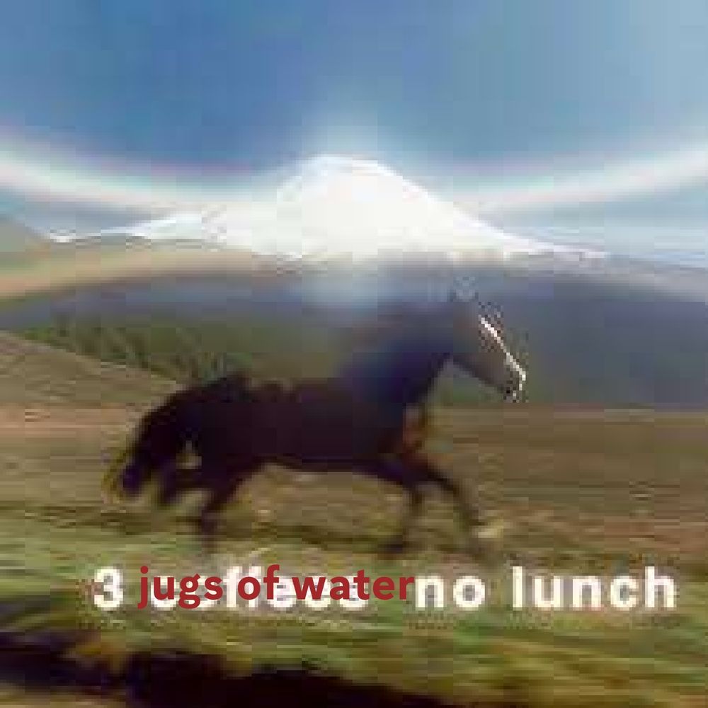 3 jugs of water no lunch
horse running
