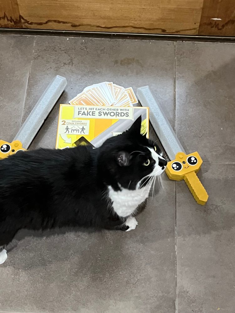 In this charming follow-up image, Badger, a rescue tuxedo cat with striking black fur and a crisp white chest patch, has entered the scene and is curiously investigating the "FAKE SWORDS" card game. The glossy-coated cat, with expressive eyes and white whiskers, is positioned on the left side of the frame, appearing to sniff or examine one of the yellow-handled foam swords. The contrast between Badger's sleek black and white fur against the bright yellow sword handles creates a visually pleasing composition. The game box and cards remain in the background, seemingly forgotten as Badger has decided this new human entertainment requires feline inspection. The image captures that classic moment when a curious cat inevitably investigates any new object brought into his territory. 