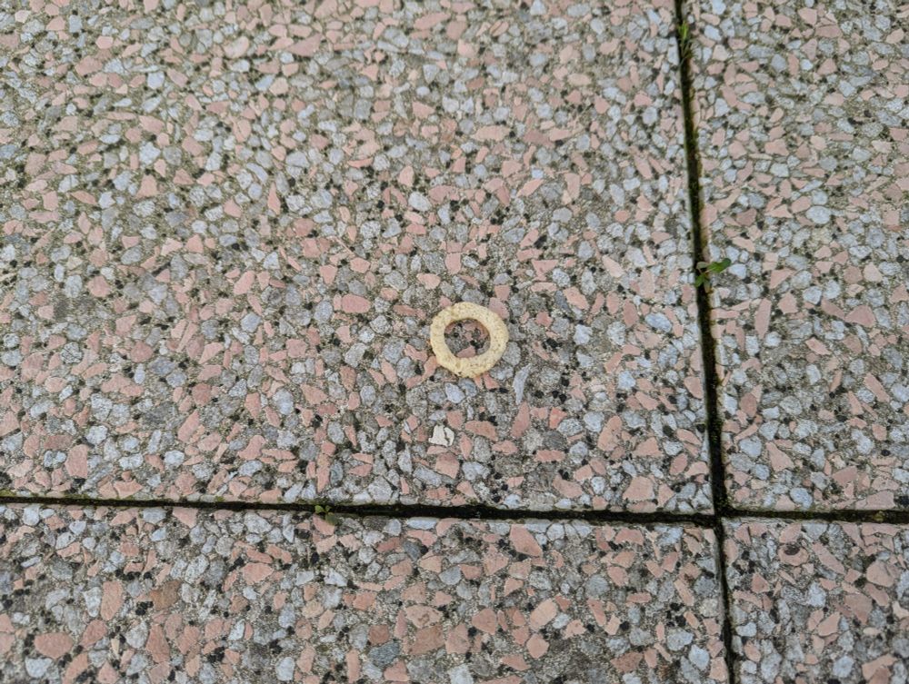 Maisring mit zwiebelgeschmackp, alt, auf Balkonplatte.