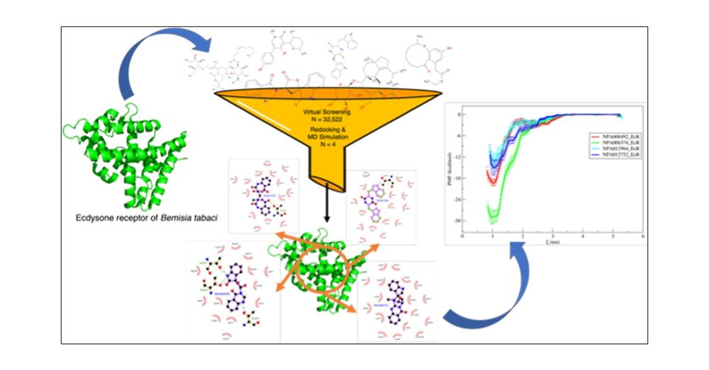 New Insecticide Designed to Target Ecdysone Receptors of Bemisia tabaci