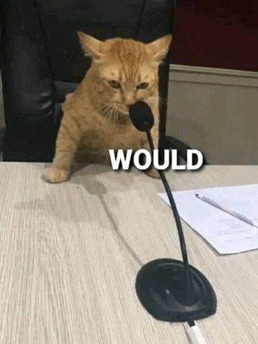 A orange cat with its nose up to a thin microphone. The word “WOULD” is written in white underneath 