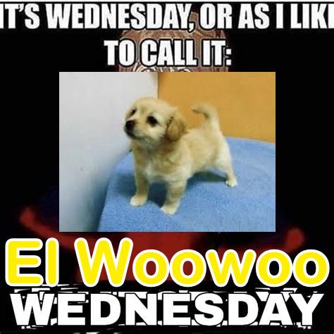 Top Text: It's wednesday, or as I like to call it:
Picture of a labrador puppy(I think thats the breed) on a blue cushion
bottom text: El Woowoo Wednesday