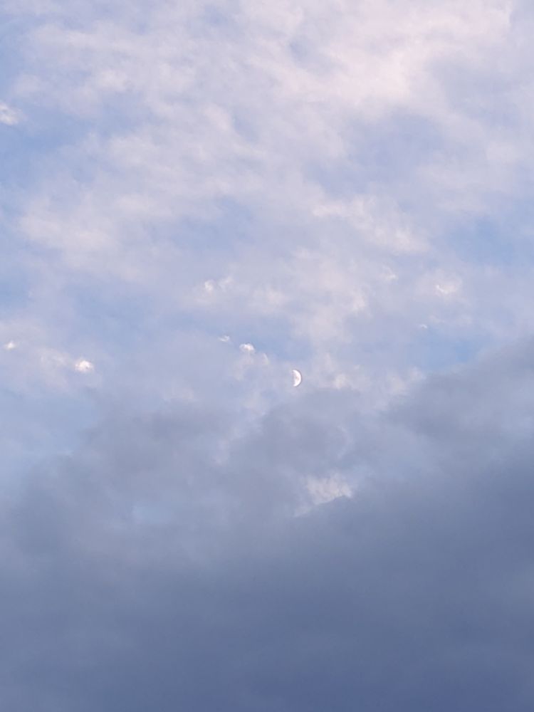 Half moon amongst scudding clouds. 