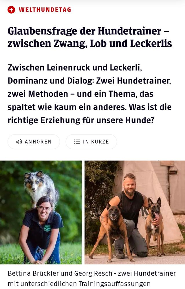 WELTHUNDETAG
Glaubensfrage der Hundetrainer -
zwischen Zwang, Lob und Leckerlis
Zwischen Leinenruck und Leckerli 
Dominanz und Dialog: Zwei Hundetrainer, 
zwei Methoden - und ein Thema, das
spaltet wie kaum ein anderes, Was ist die richtige Erziehung für unsere Hunde?