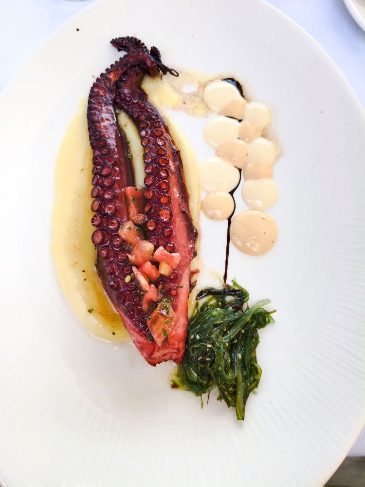 Gegrillter oktopus