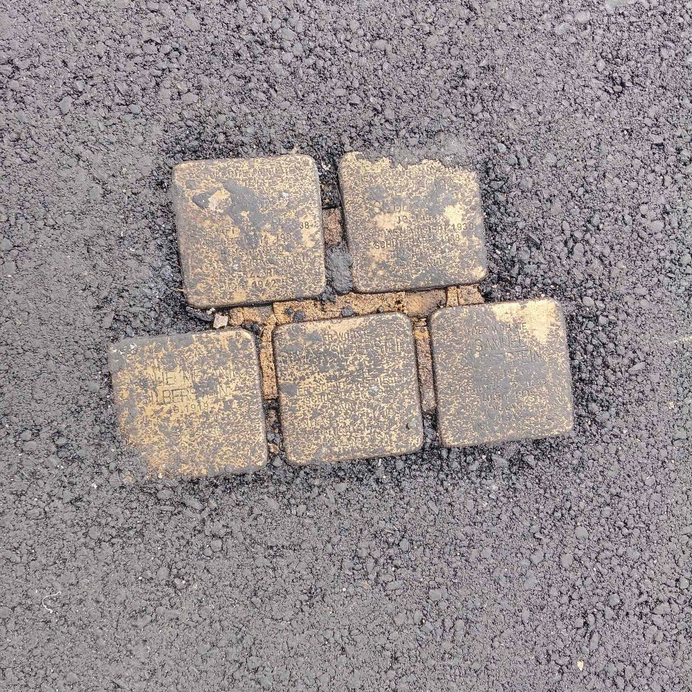 Halb zuasphaltierte stolpersteine