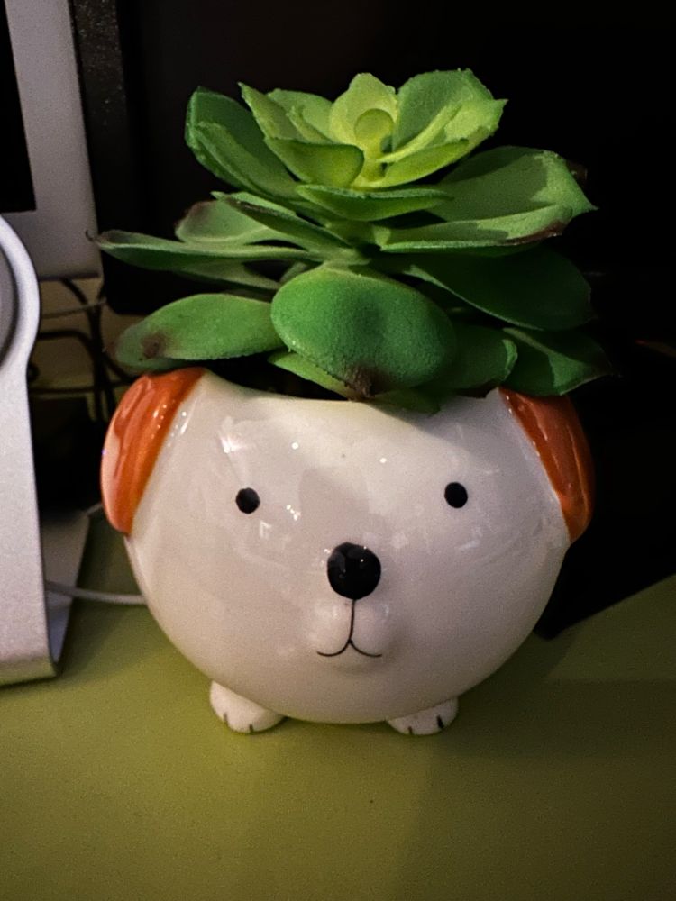 Photo of a small, round planter that looks like a cute cartoon dog holding an artificial succulent plant.