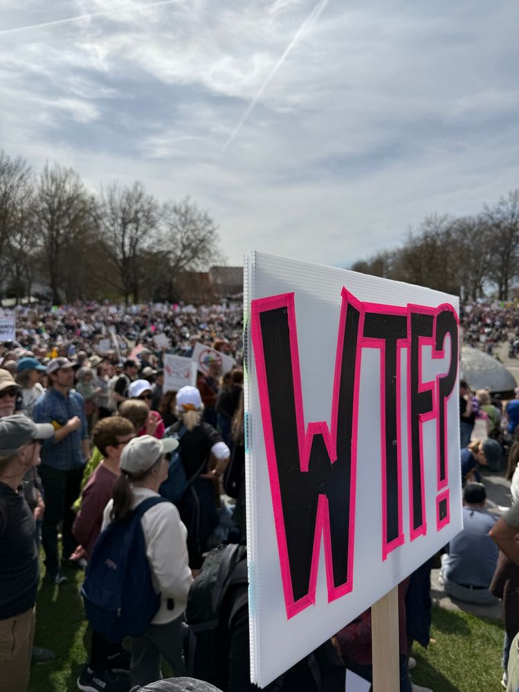 A white sign reads WTF? In black and pink amidst a crowd of people attending a protest