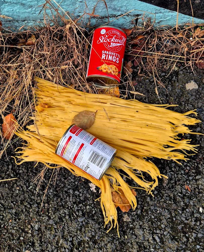Two tins of spaghetti hoops lying on a load of uncooked spaghetti.