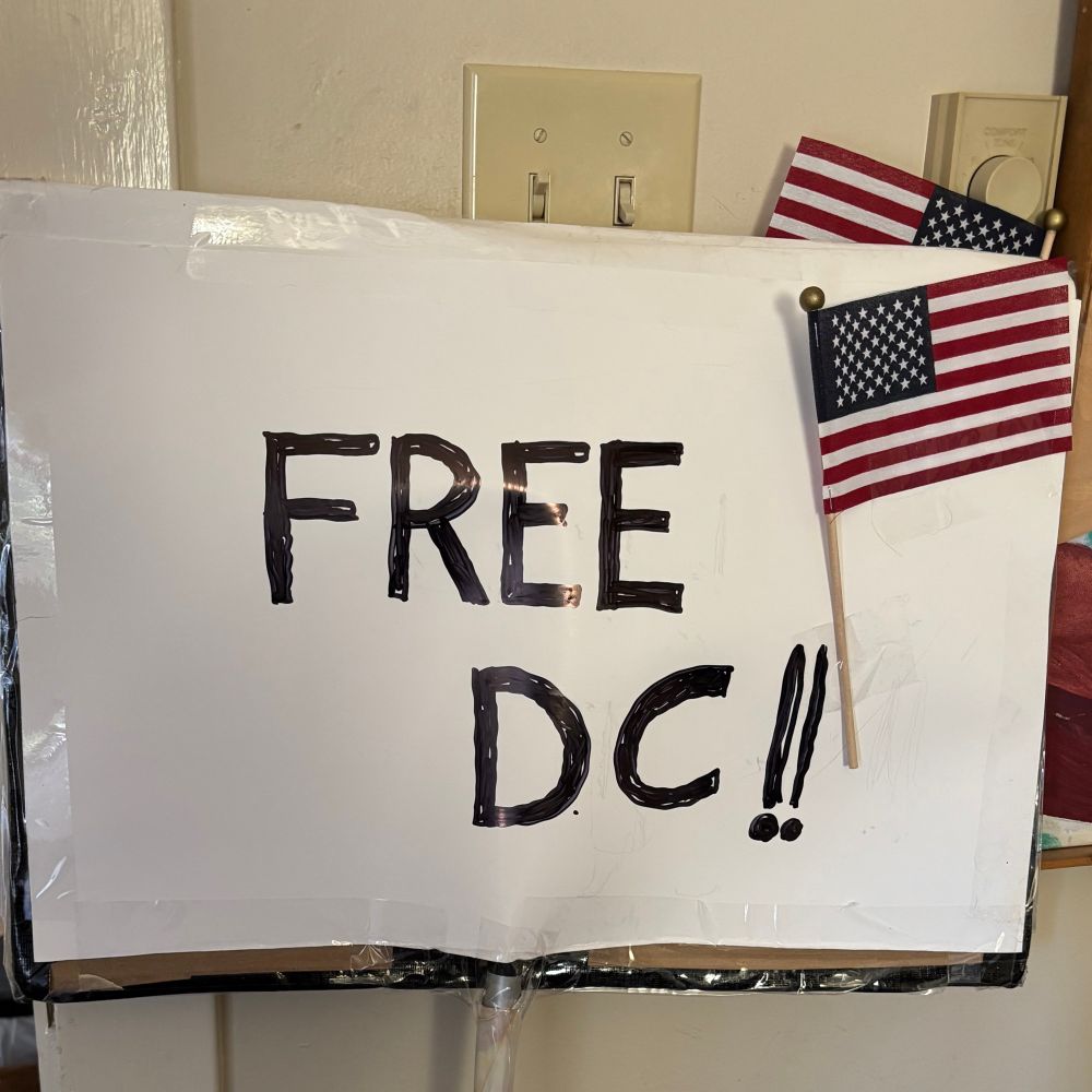 Reverse side of the protest sign reads FREE DC!!