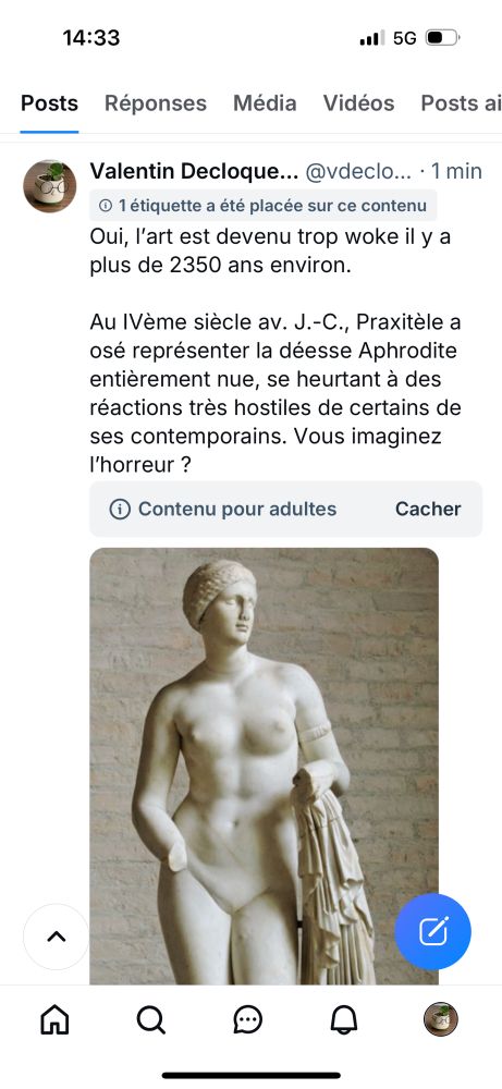 Étiquette « contenu sexuellement agressif » accolé à mon précédent post. 